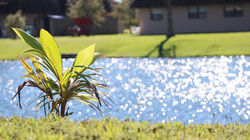 lake scene stock