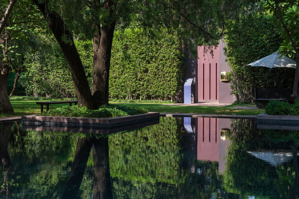 NJP00435-Edit.jpg