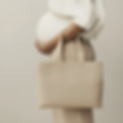 u5176616942_i_need_a_beige_shopping_bag_with_silk_handles_and_5d6343e8-a21b-4357-a3cc-9139
