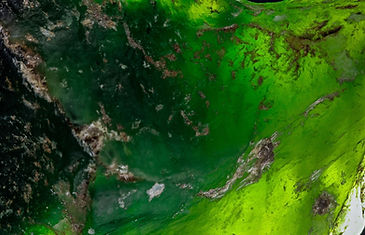 Naturestone_Webseite-21_edited.jpg