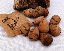 Cork Beads