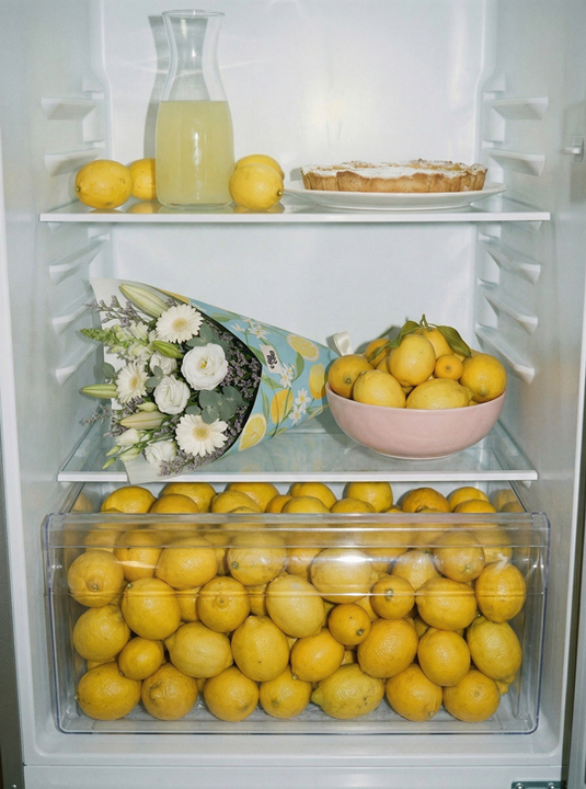 At_the_bottom_of_the_fridge_A__Nano_Banana_2_80530.png