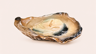 8318c57b-5cdd-49fb-b236-f217a6920235 (1).png
