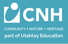 China New Horizons logo