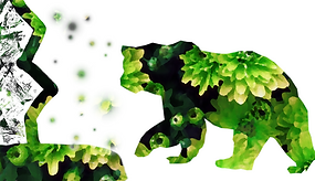 Daizah-Grizzly.png