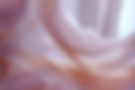 HQ background_edited_edited.jpg