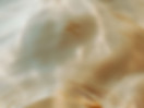 8b71adf0f4c8220bd50fcc3249ccf365.jpg