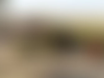 Военно-полевые сборы со школьниками проходят в Алматы