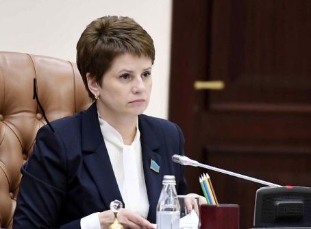 Сенатор онлайн-оқыту проблемасына алаңдаулы