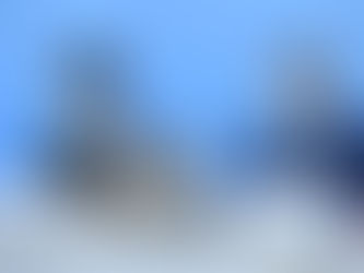 Шымкентте автоматтандырылған тәртіпте 354 педагог жұмысқа қабылданды