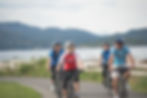 Sip & Savour Guided Cycling Tours