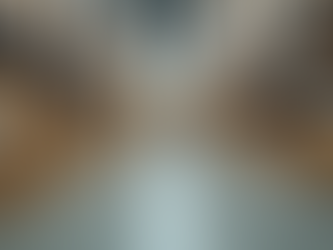 Understanding Amazon Returns: A Complete Customer Guide