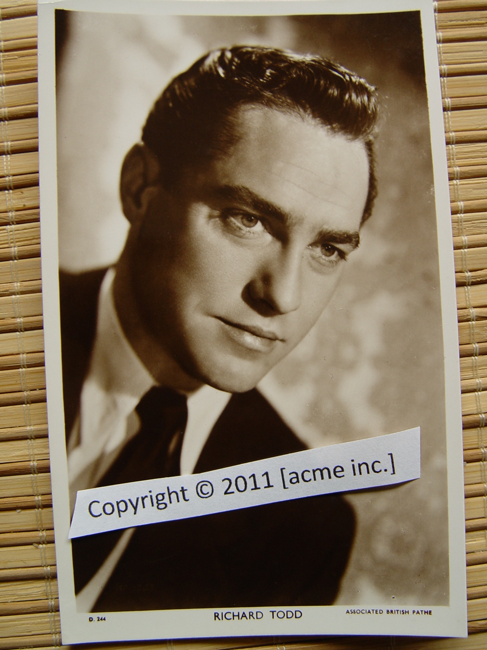 http://www.acme-inc.co.uk/websitepix/DSC050207.JPG