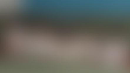                       Remises de ceintures au Judo Club Montilien