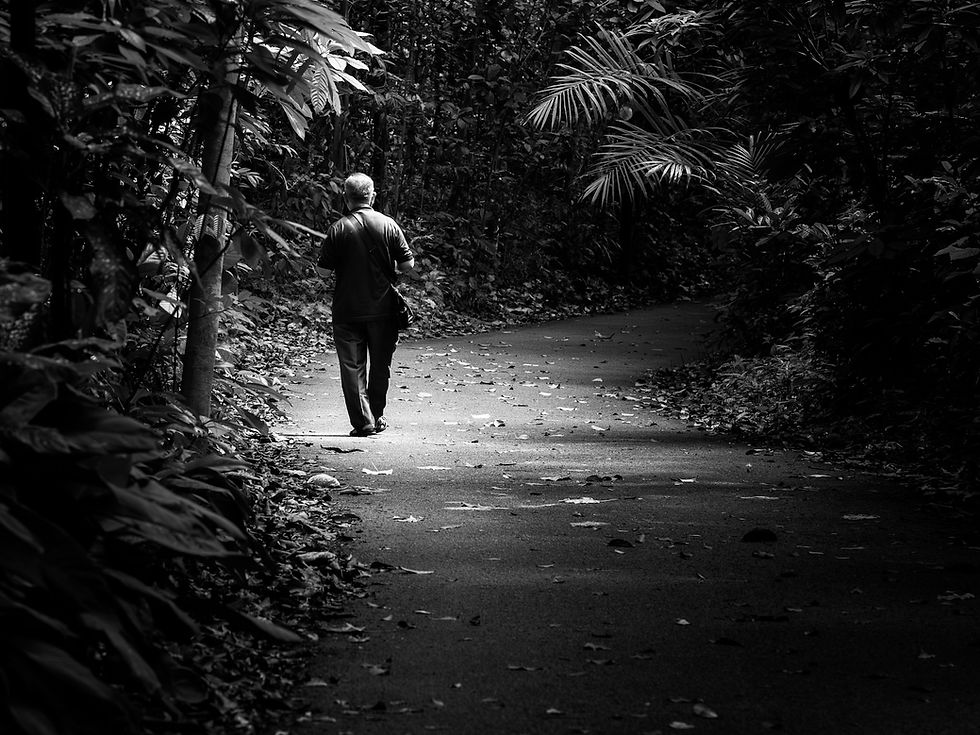 A solitary figure walking along a quiet forest path, reflecting the unspoken thoughts people carry.