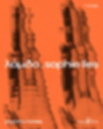 Κατακόρυφη πορτοκαλί αφίσα, απεικονίζει δυο παράλληλες ανοιχτές παλάμες με τα δάχτυλα προς τα επάνω και τη βάση τους προς τα κάτω. Τα δάχτυλα των πανομοιότυπων παλαμών αλλοιώνονται στα άκρα με υγρούς κυματισμούς. Μαύρο σημάδι στο μέσο του αντίχειρα, στην επαφή του με το δέρμα και στο εσωτερικό των νυχιών των άλλων δαχτύλων. Στο κέντρο της αφίσας, με λευκά γράμματα: «λάμδα. sophie lies». Επάνω αριστερά: «ΠΛΥΦΑ». Κάτω αριστερά: «20 ΙΟΥΝΙΟΥ ΠΛΥΦΑ». Δεξιά, λογότυπο: «melodica art productions».