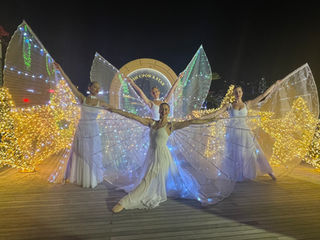 IMG_2375.jpeg