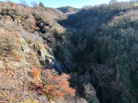 DJI_20251214104351_0050_D.jpg