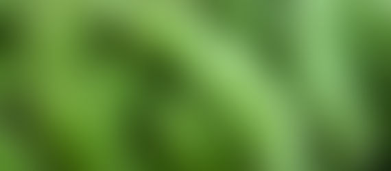 農民人のホームページを開設しました！