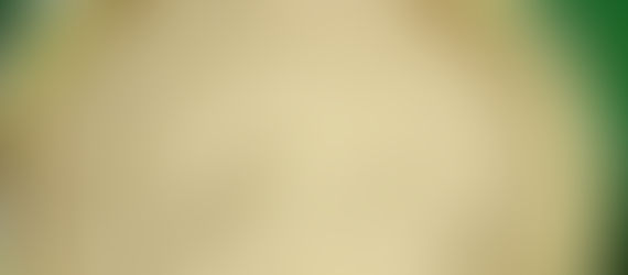 【活動のお知らせ】2018年1月27日 味噌作り