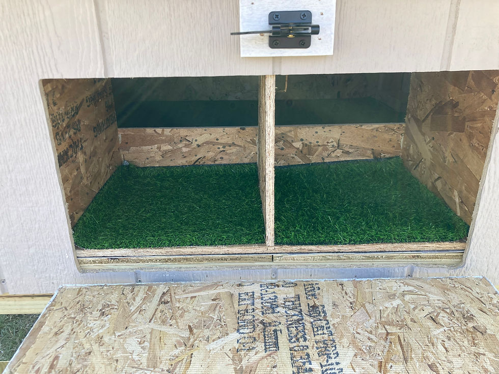 Thumbnail: The Egg-Laine 4x4 Chicken Coop with Cedar Wood Shutters, Flower Box
