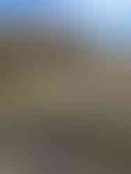 A hiker in a red jacket carefully crosses a shallow stream using flat stone stepping stones on the path near Brontë Waterfall. The trail is surrounded by rugged moorland grass and steep, rocky banks, typical of the terrain around Haworth.