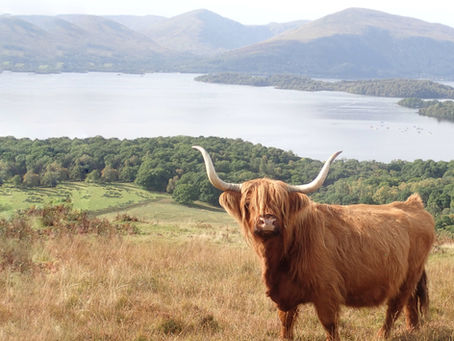 The Ultimate Scottish Bucketlist