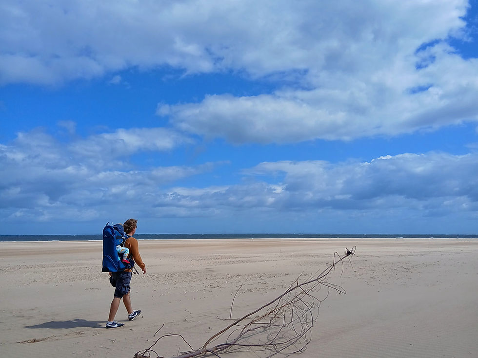 Toddler travel and hiking gear we swear by: ingenious backpack carriers, all terrain pushchairs and a game changing travel cot