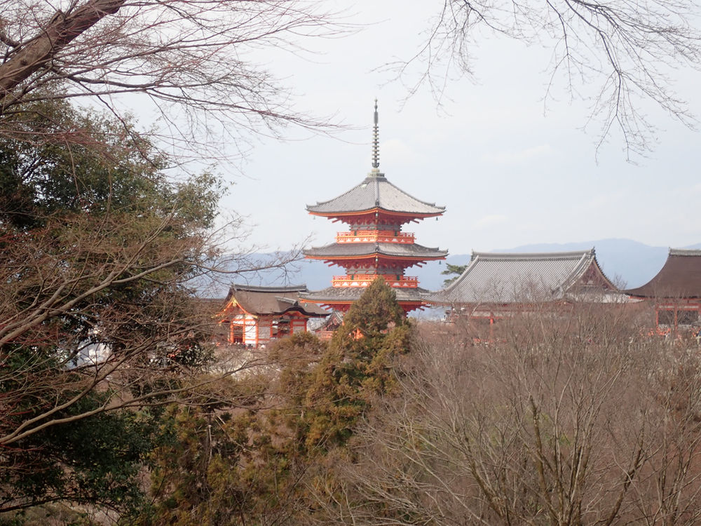 7 reasons why visiting Japan in Winter is the best.