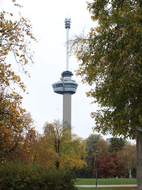 Rotterdam's Euromast framed by autumn leaves