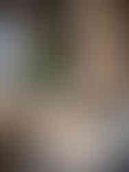 A big slice of cake on a sunny tea room patio table - text on the window reads 6 The Square (No. 6 the square, Buxton)