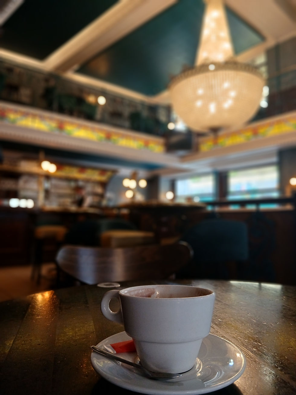 The sumptuous interior of Cafe des Tribunaux 
