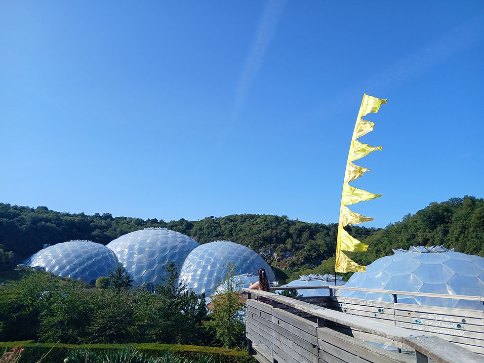 A woman stands on a high wooden viewing platform overlooking the Eden Project biomes