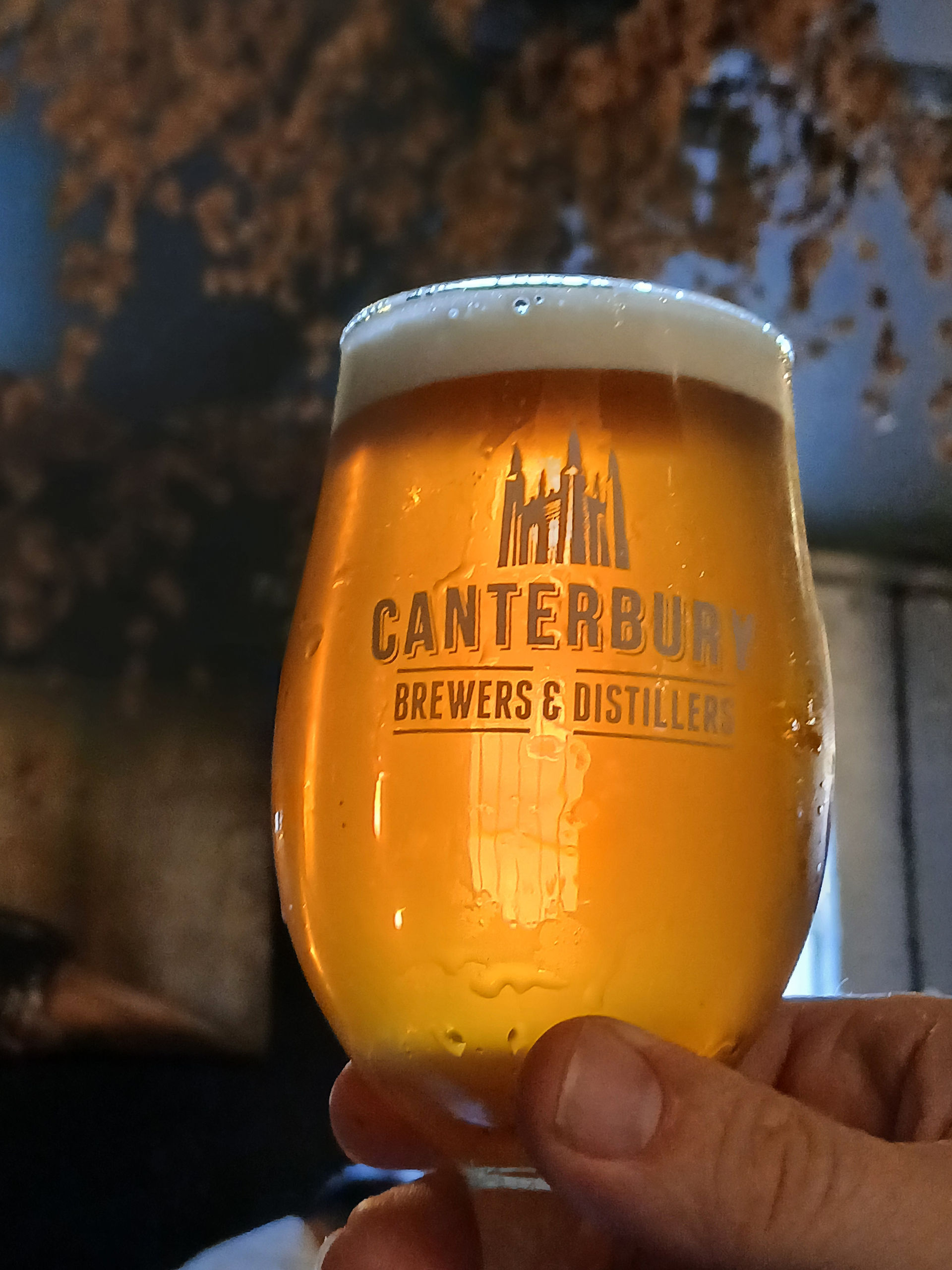 A pint of beer in front of some dried hops: The Foundry brew pub, canterbury