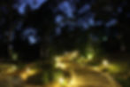 Romanza del Bosque