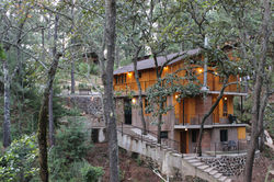 Romanza del Bosque