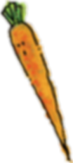 carotte-2.png