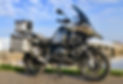 gsa olive_edited.jpg