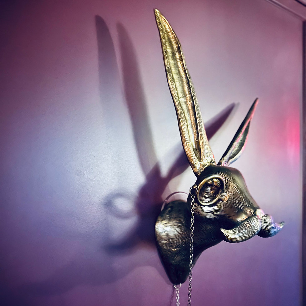 Hare head.heic