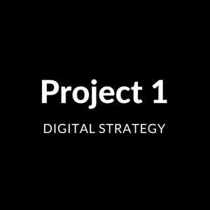 Peale Museum Collections Management Digital Strategy