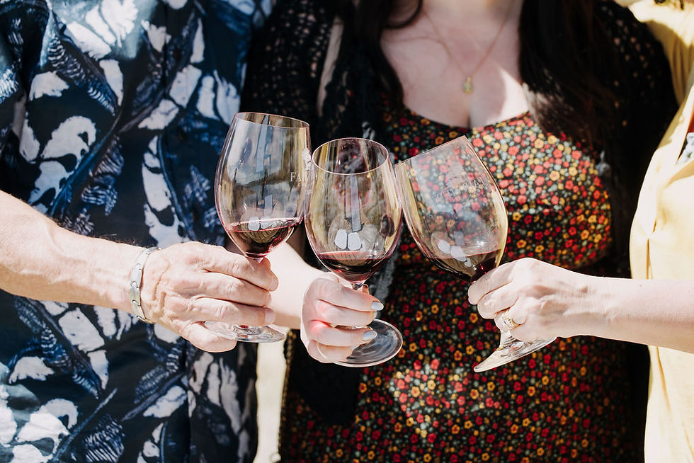 Nov. 22 Cellar Secrets: A Fairview Library Tasting