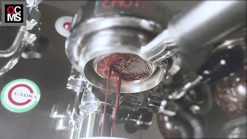 La Nuova Era Cuadra | QCMS | Coffee Supply