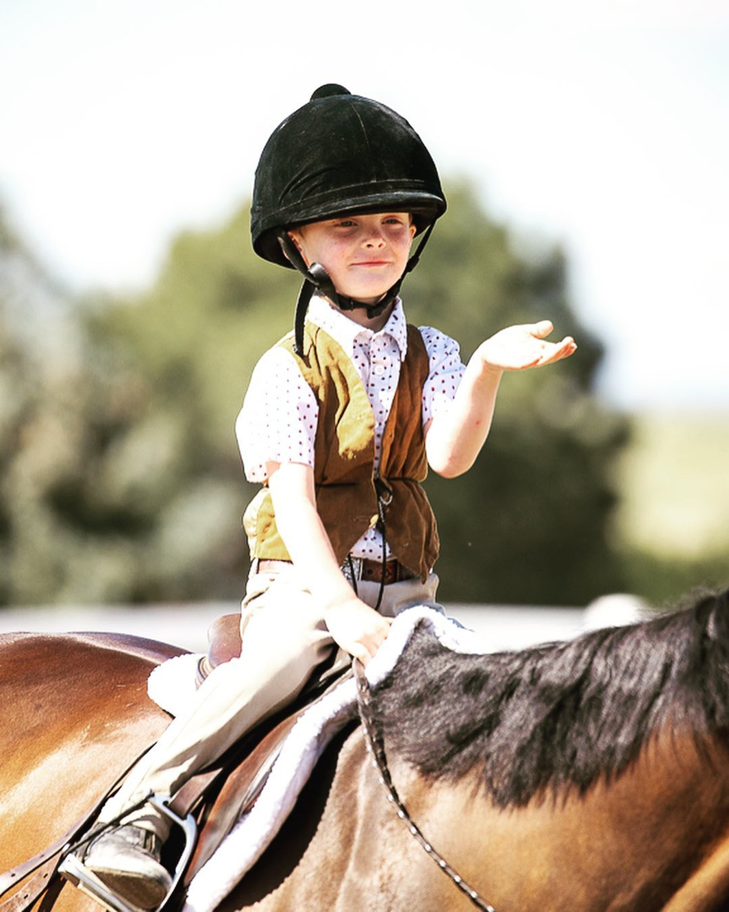 Coventry Farms Riding Lessons, Training and Boarding Littleton, CO