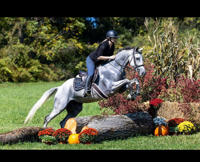 Kateri Tekakwitha.jpeg