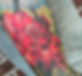 stevesleeve_edited_edited_edited_edited_edited.jpg