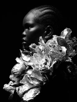 French Thierry-Le-Goues