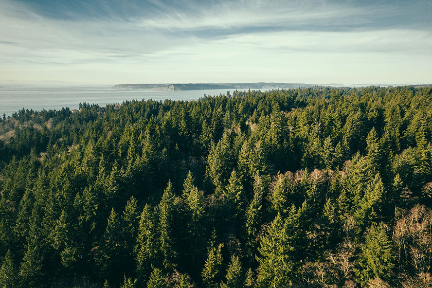 cody-fitzgerald-FwJseOUaaQI-unsplash_edited.jpg