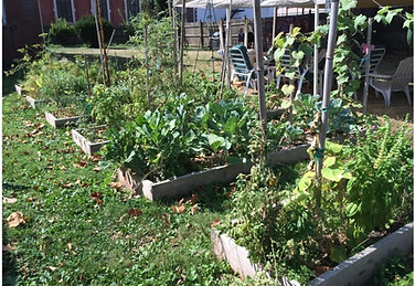 Garden_edited.jpg