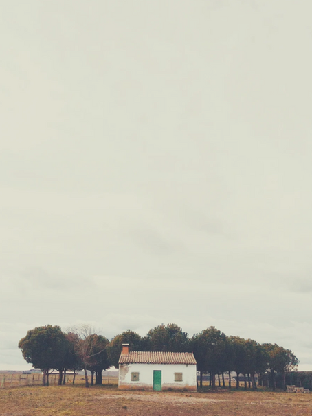 Memória é sentimento - Idarci E. Lasmar