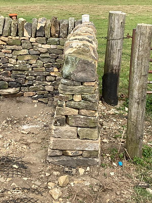 WhatsApp Image 2025-07-04 at 22.02.10 (2).jpeg